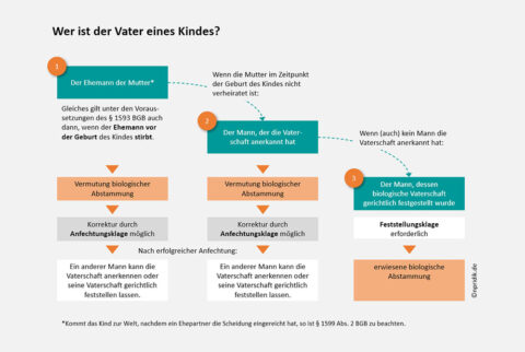 Strukturbild zur Klärung der Vaterschaft