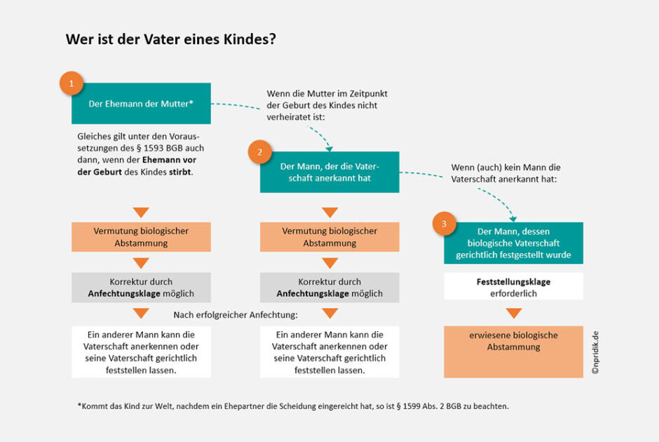 Ausländischer Vater Eines Deutschen Kindes Erhält Duldung Schaubild: Wer ist der Vater eines Kindes? • Nicola Pridik