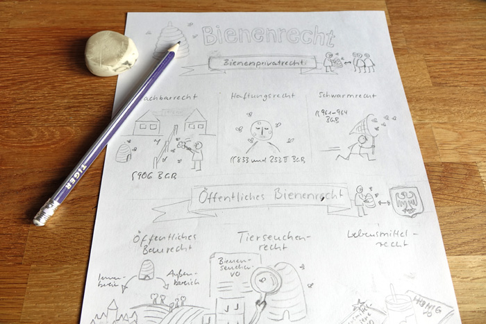 Erster Entwurf der Sketchnote zum Bienenrecht