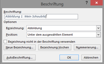 Screenshot Word Dialogfeld Beschriftung