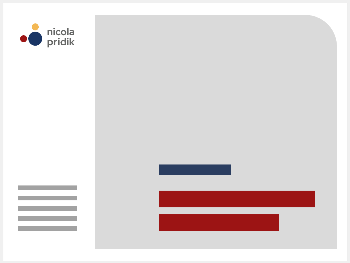 Stilisierte Titelseite im Querformat mit Logo von Nicola Pridik und einer großen grauen Fläche, auf  der zwei rote Balken und ein dunkelblauer Balken platziert sind.